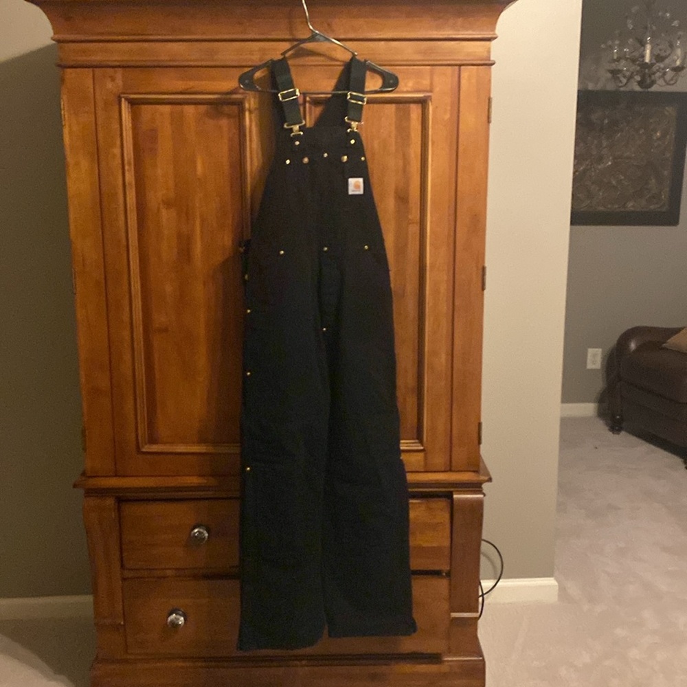Carhartt Insulated Bibb overalls Black 34x32. Quilted from ankle to thig…